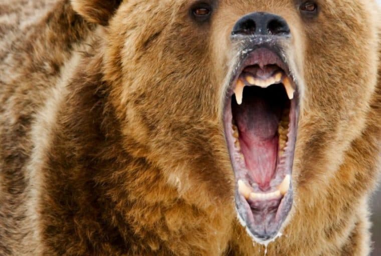 BTC Hashpower Doubles During Bear Market as Miners Sacrifice Profit for Position