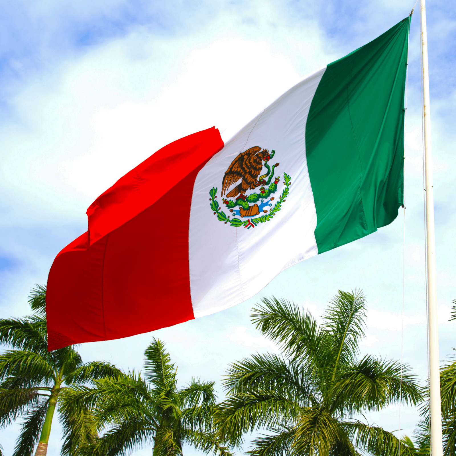Mexico Publishes Crypto Rules, Puts Central Bank in Charge