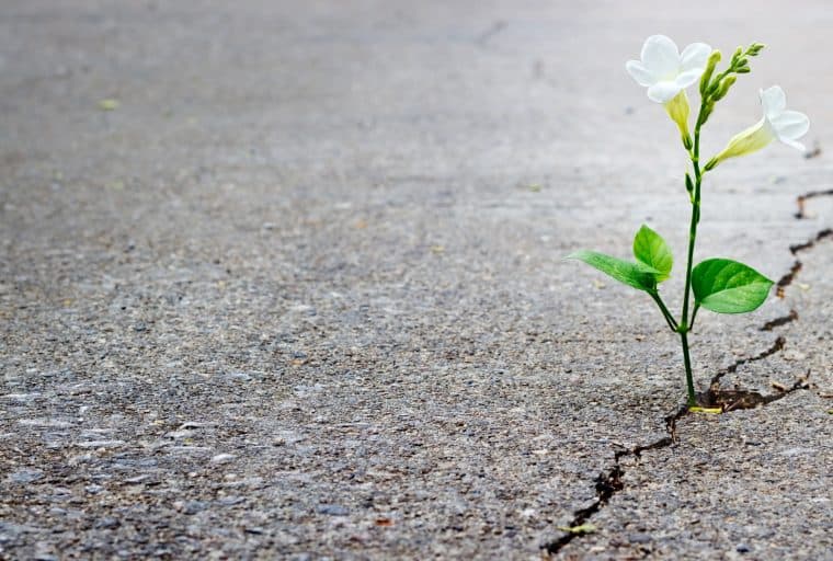 India Cryptocurrency Winter Survivors: We Were Not Sleeping, But Hibernating