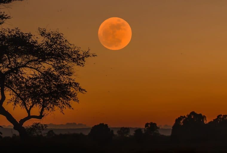 As Zimbabweans Struggle For Cash, Even The Country's Only Bitcoin ATM Has Run Dry