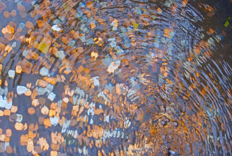 The Daily: Poloniex Drops 8 Coins, New Exchange Licensed in Estonia