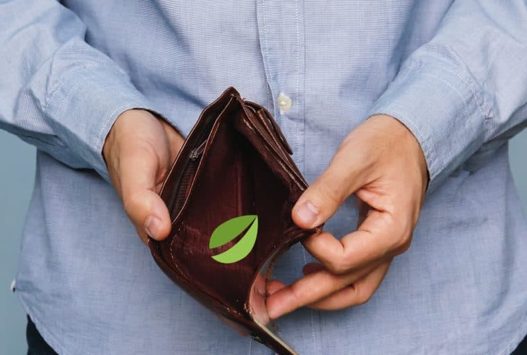 Bitfinex Strongly Refutes Insolvency Claims