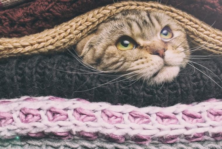 Wrapped BTC Is Coming to Ethereum