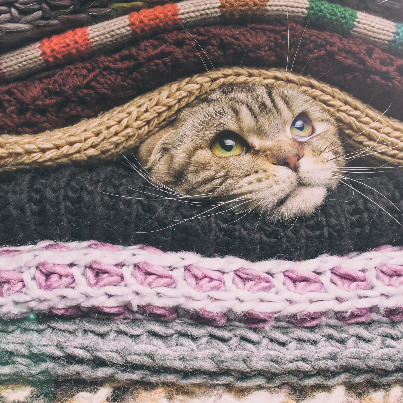 Wrapped BTC Is Coming to Ethereum