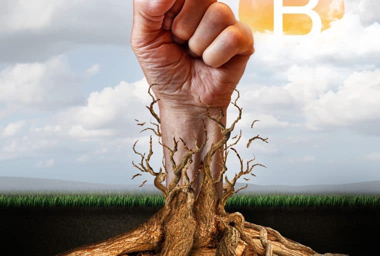 Wendy McElroy: Don’t Smash the State, Bypass the State