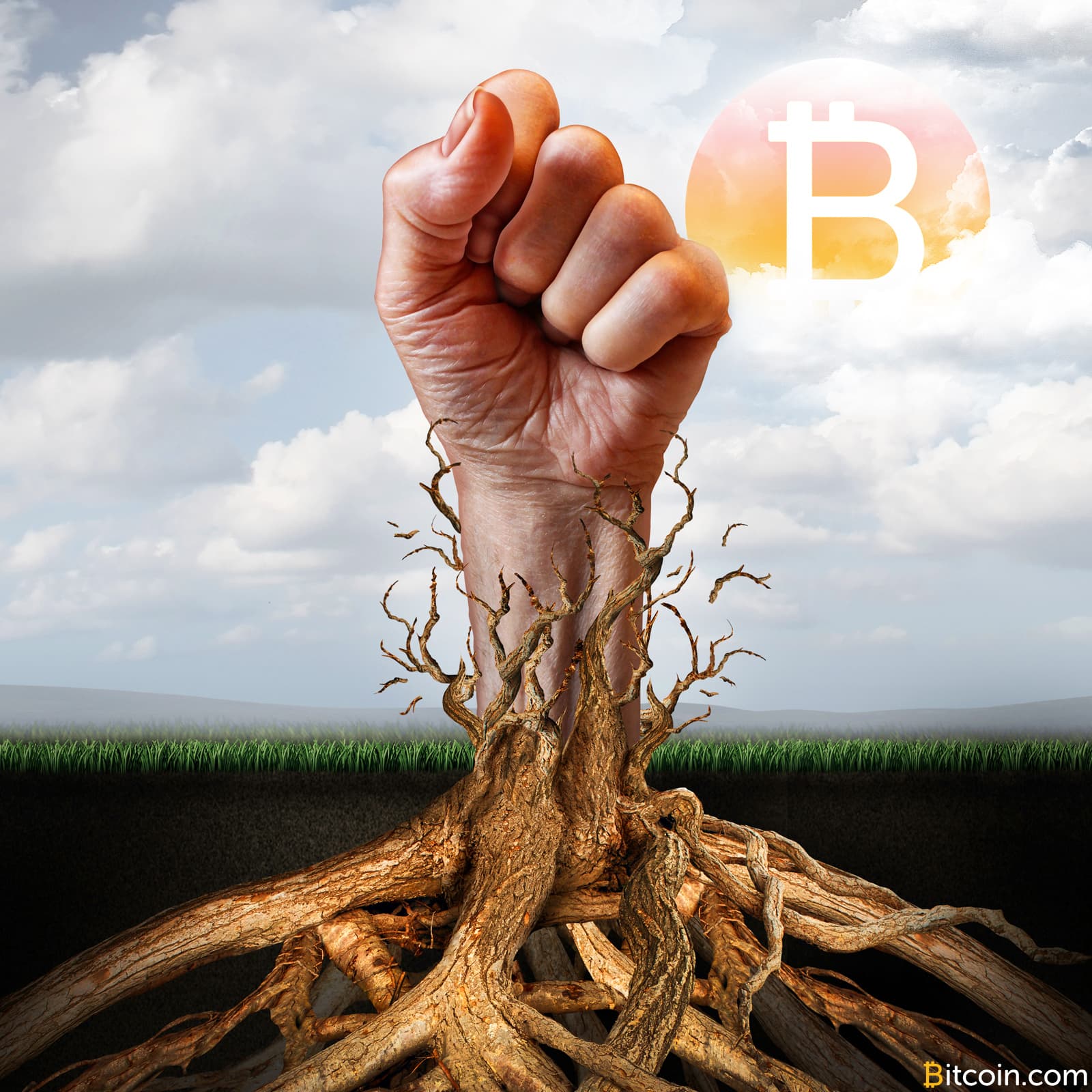 Wendy McElroy: Don’t Smash the State, Bypass the State