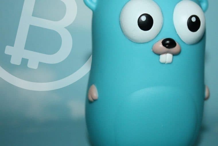 Bitcoin Cash Developers Launch Beta Bchd Client Written in Golang