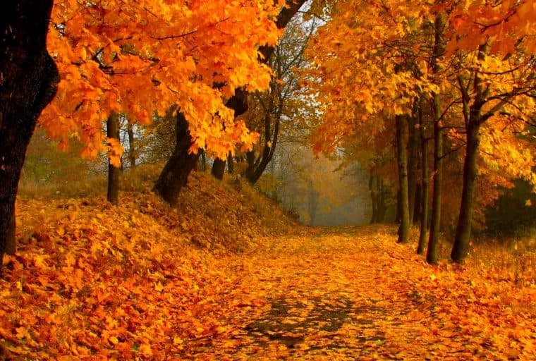 Free Keene Activists Launch Bitcoin Embassy New Hampshire