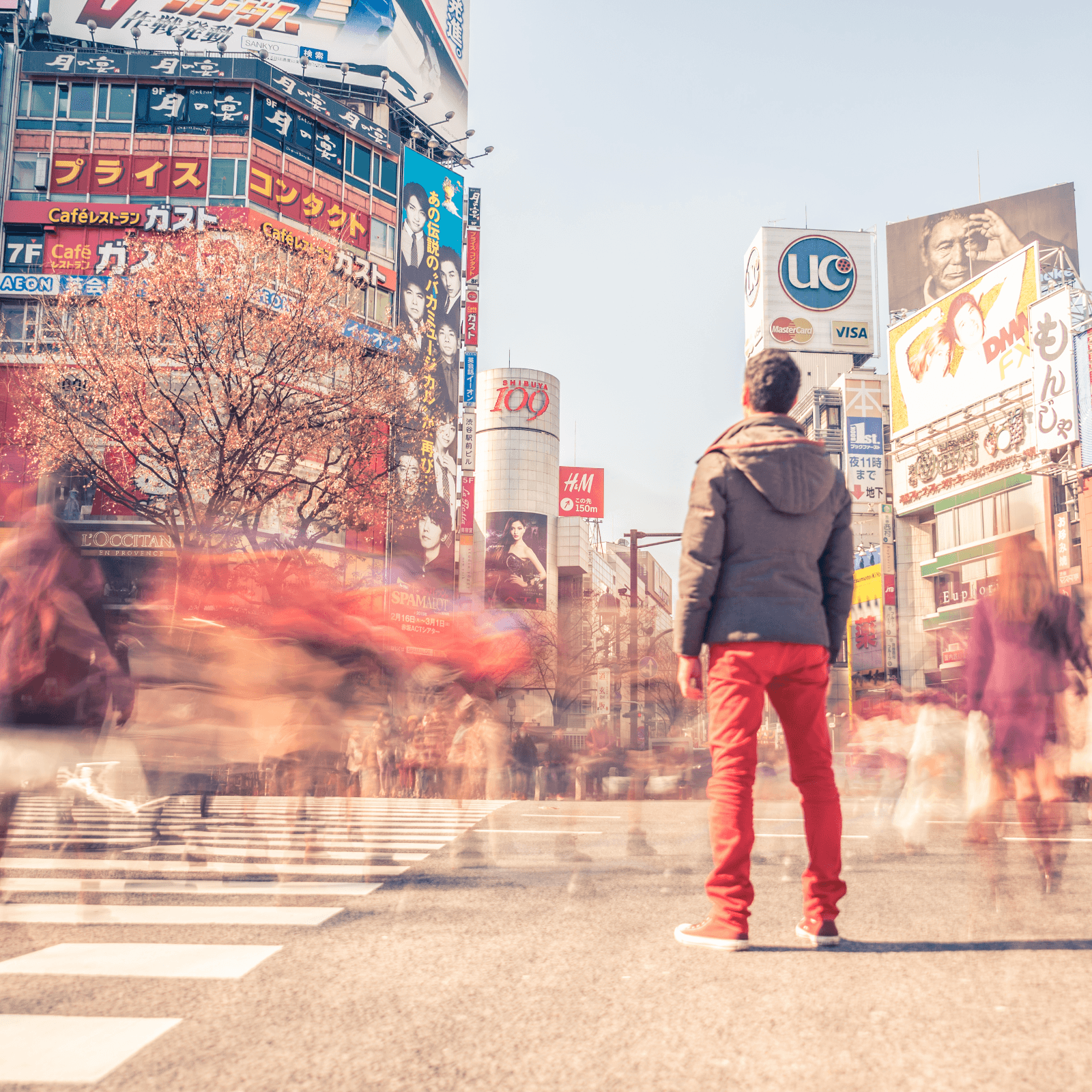 Major Car Dealerships and Airport Limos in Japan Begin Accepting Cryptocurrencies