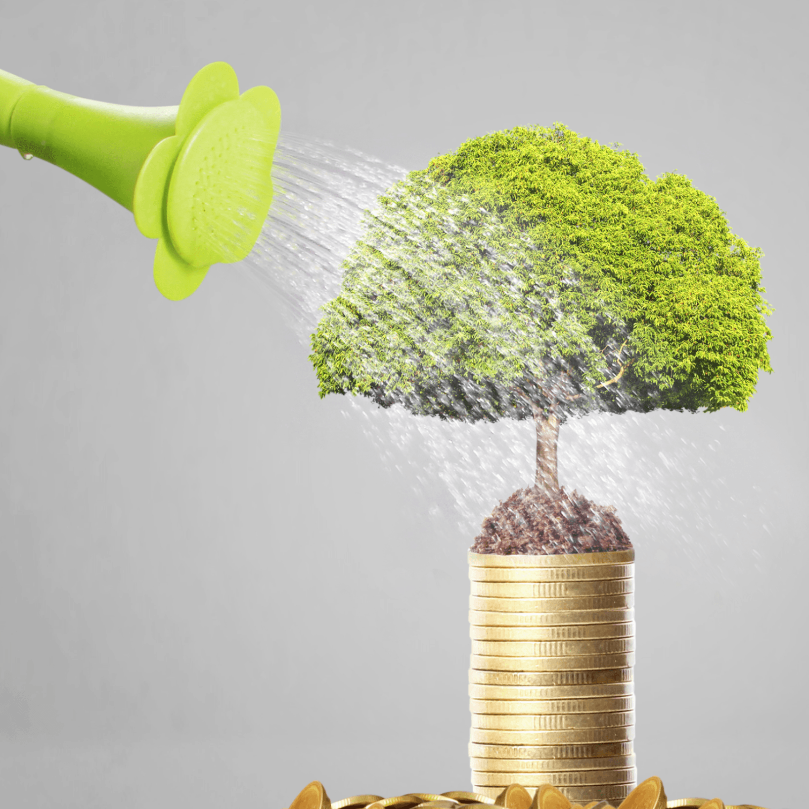 Indian State Working to Help Crypto Businesses Grow