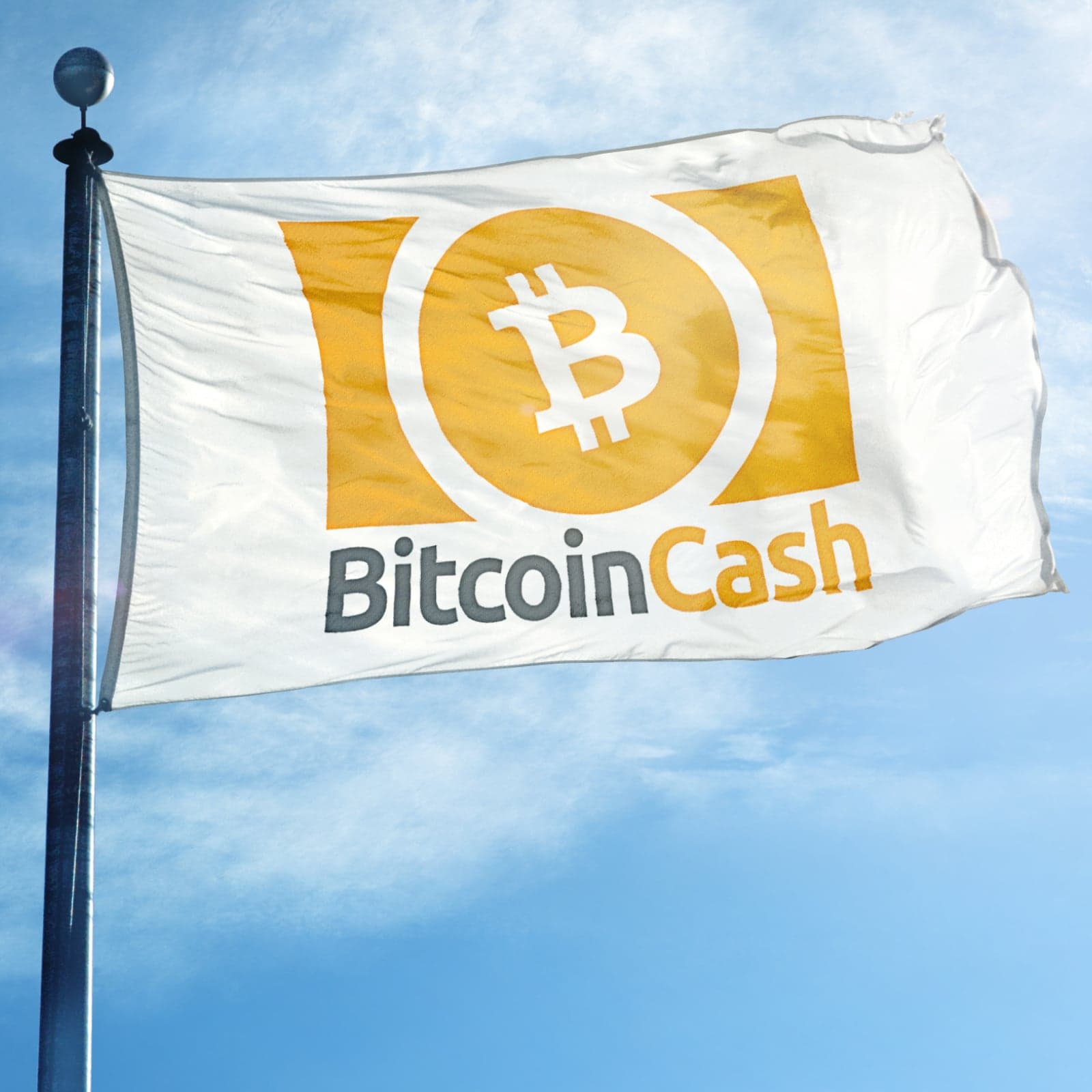 Markets Update: BCH Rallies, XRP Nears ETH Market Cap