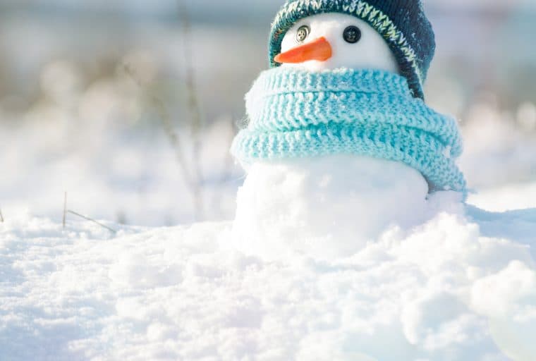 The Daily: ICOs Hunker Down for Crypto Winter, Meta Stablecoins Are Coming