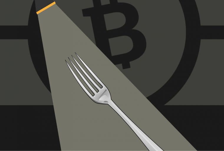 Fork Watch: List of BCH Services Providing Fork Support