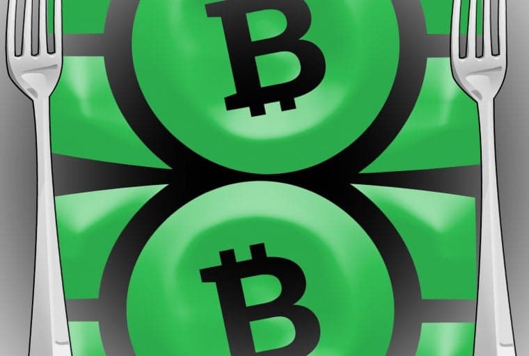 Preparing for the Looming Bitcoin Cash Fork