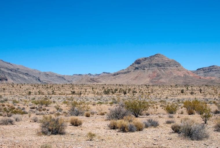Lawyer Invests $300 Million to Build Crypto City in the Nevada Desert