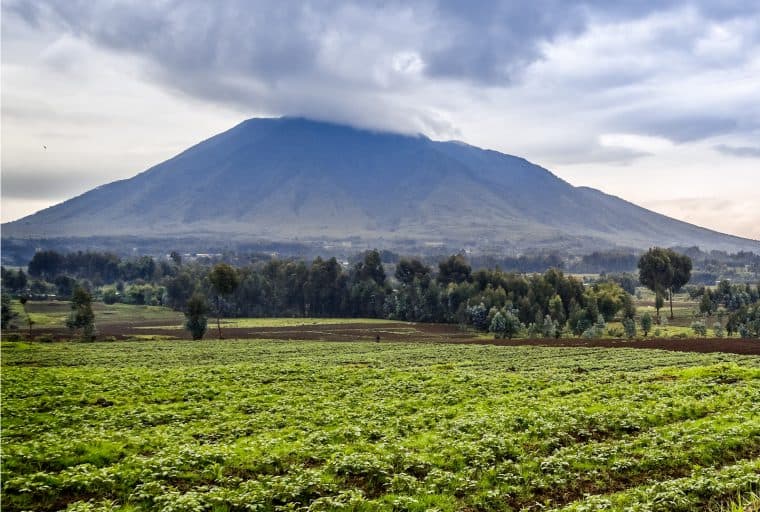 Paxful Completes Second School in Rwanda #BuiltWithBitcoin