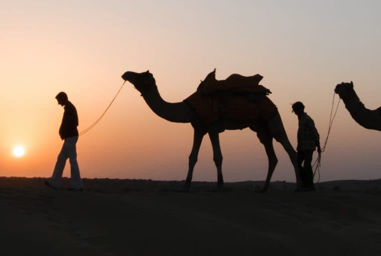 Federal Agents Told This Silk Road Moderator to Fake His Own Death