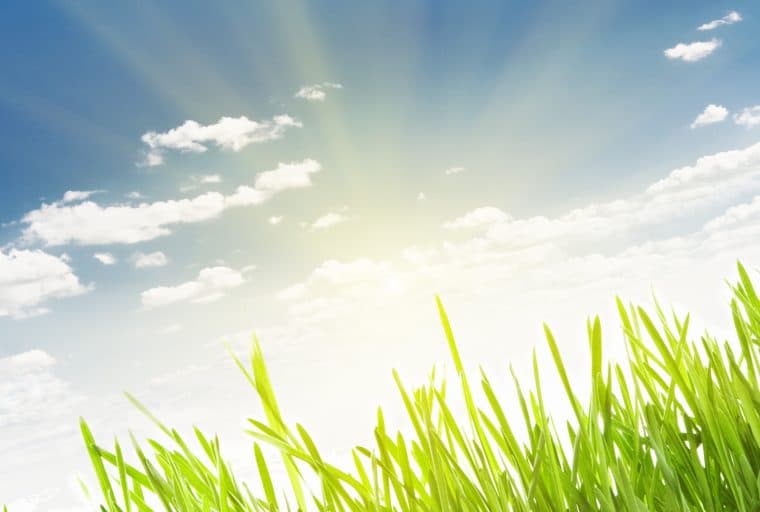 BCH Leads the Way as Crypto Markets Brighten Up