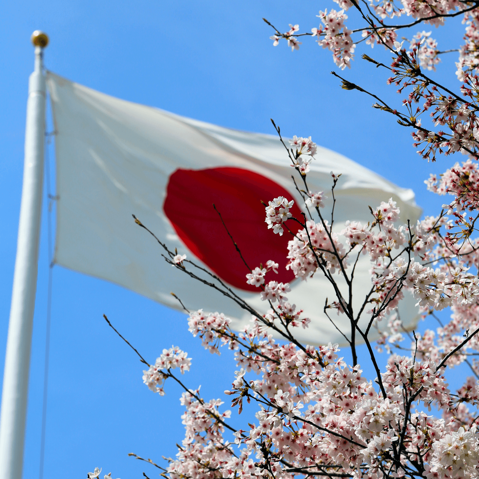 Japan Reveals Expectations for Crypto Industry Self-Regulation