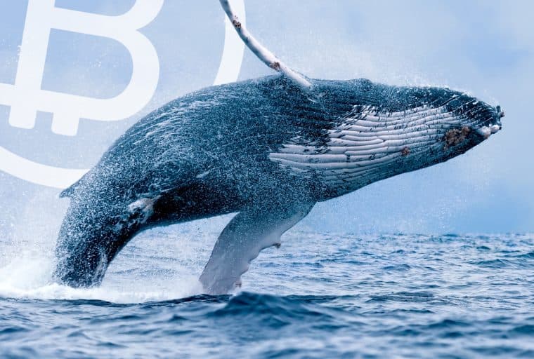 Bitcoin Whales and the Rise of Crypto-Fueled OTC Desks in 2018