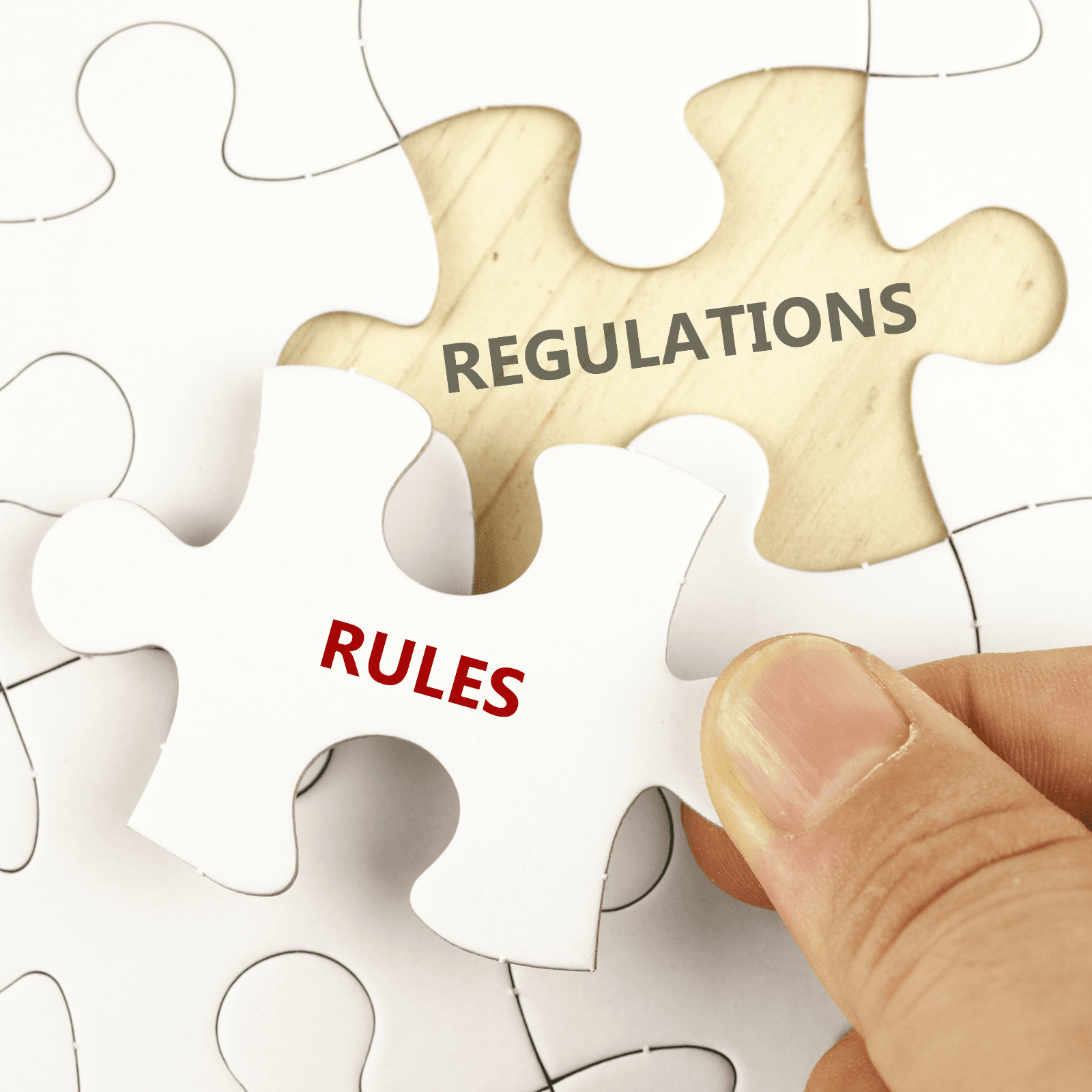 Japanese Regulator Publishes Proposed Rules for Crypto Service Providers