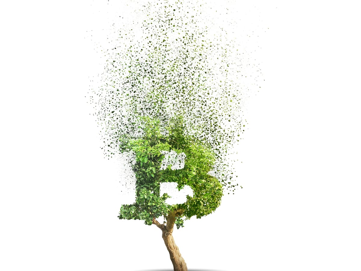 Blame Banks for Damaging the Environment – Not Bitcoin