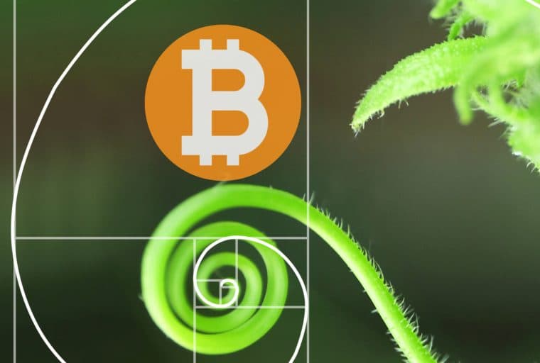 Tidbits: Todd on Passphrase Memorization, Antonopoulos Explains Transaction Fees