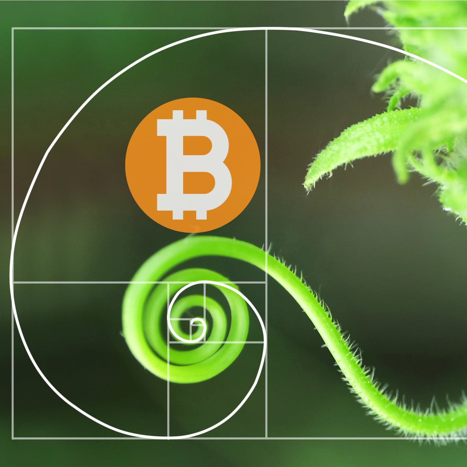 Tidbits: Todd on Passphrase Memorization, Antonopoulos Explains Transaction Fees