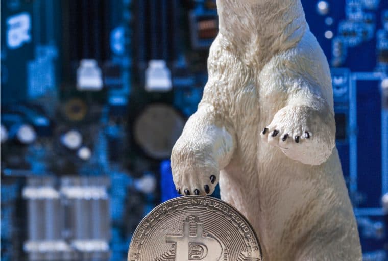 Galaxy Digital Reportedly Raising $250M to Help Firms Survive Crypto Winter