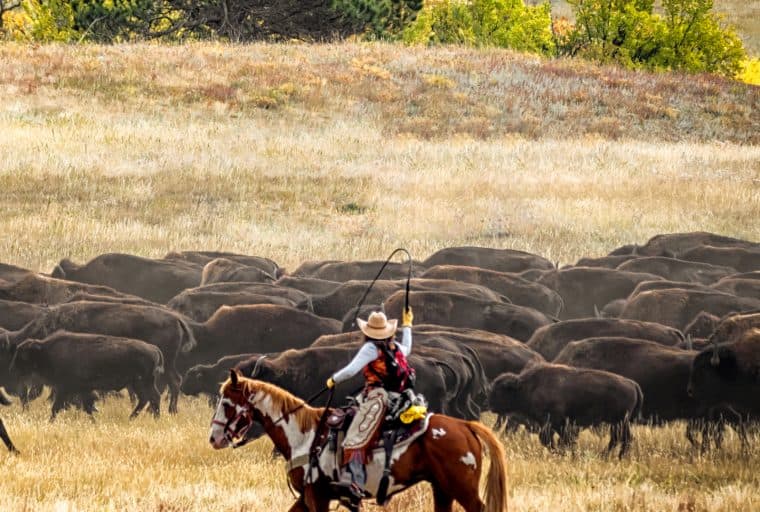 The Daily: NYC to Launch Blockchain Center, Wyoming Advances Industry-Friendly Bills