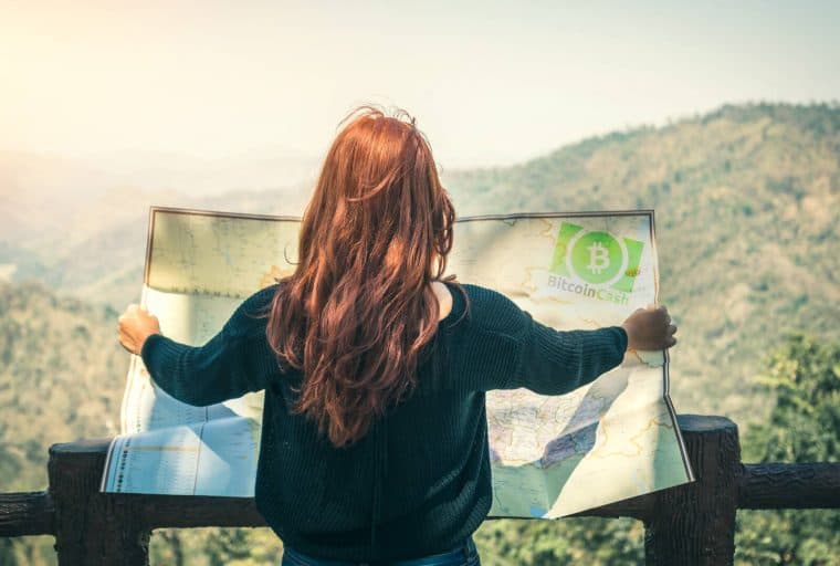 Blockchain.com Launches New Bitcoin Cash Block Explorer