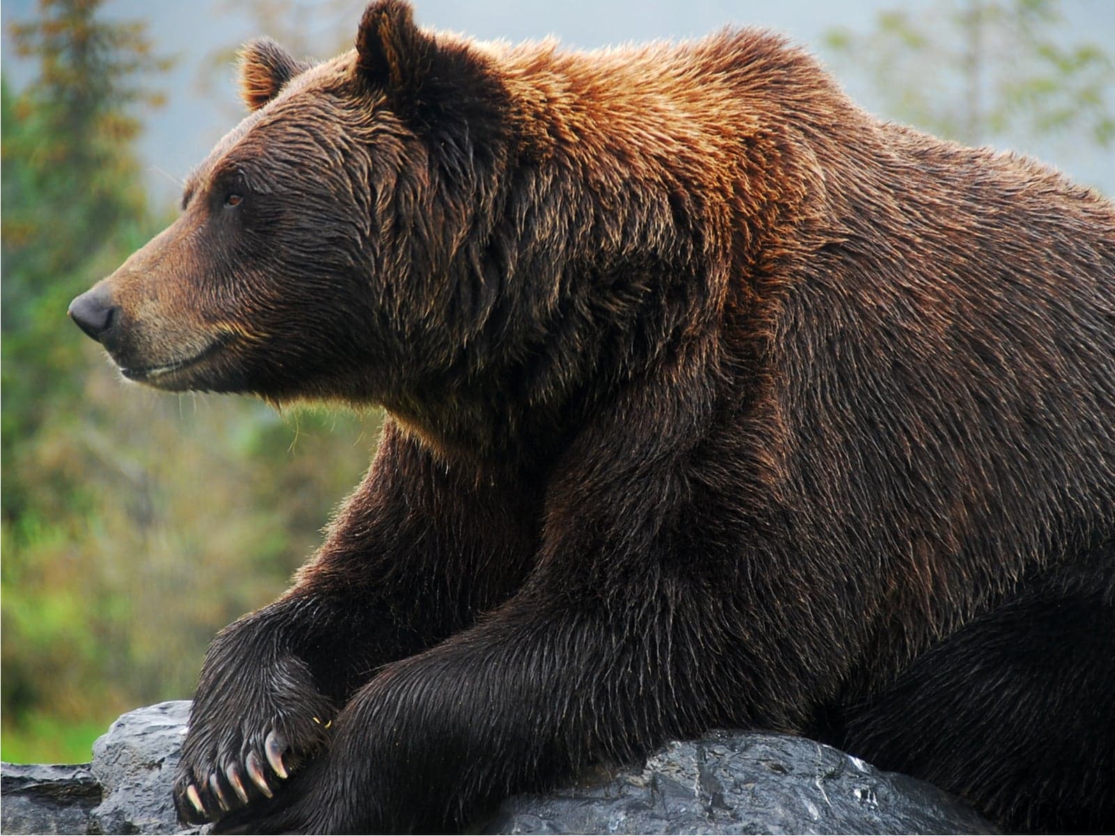 Up & Down: BTT Falls From Daily Gainers, Grin Sits Among Weekly Losers