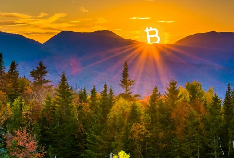 New Hampshire House Subcommittee Approves Bitcoin for Taxes Bill