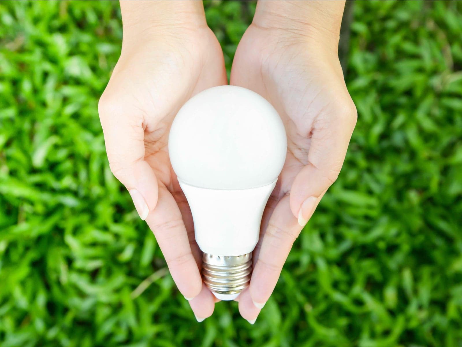 In the Daily: BCH Charity Anniversary, Lighting Wholesaler Takes Crypto, Atomicpay Vanity URLs