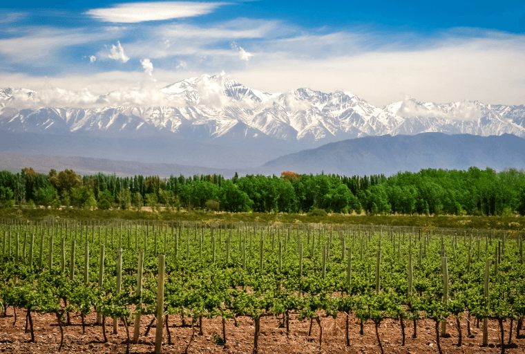 In the Daily: Tokenized ETFs, Chainalysis, Binance Labs in Argentina