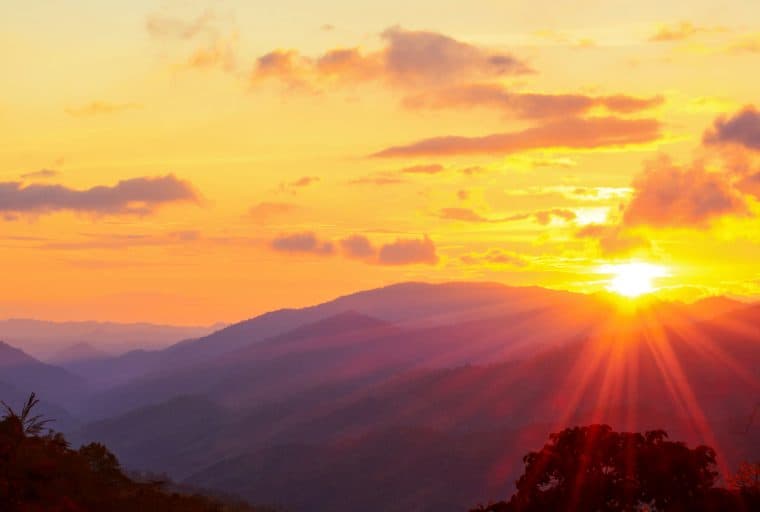 The Darknet Rises With 6 New Markets