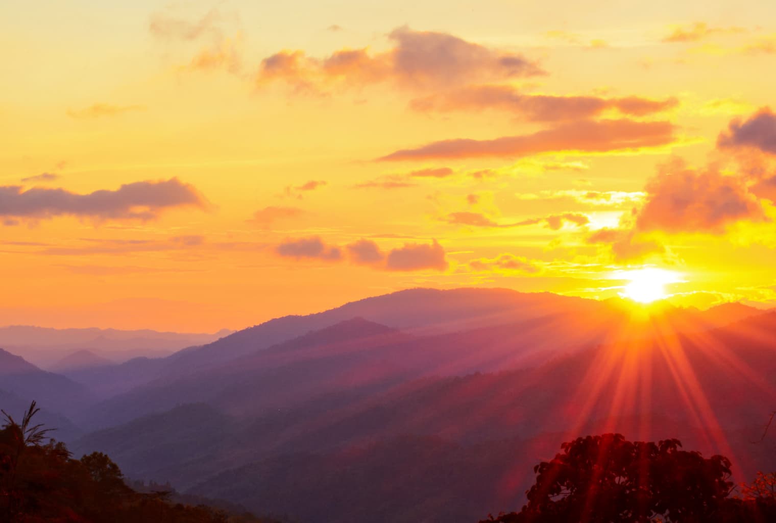 The Darknet Rises With 6 New Markets