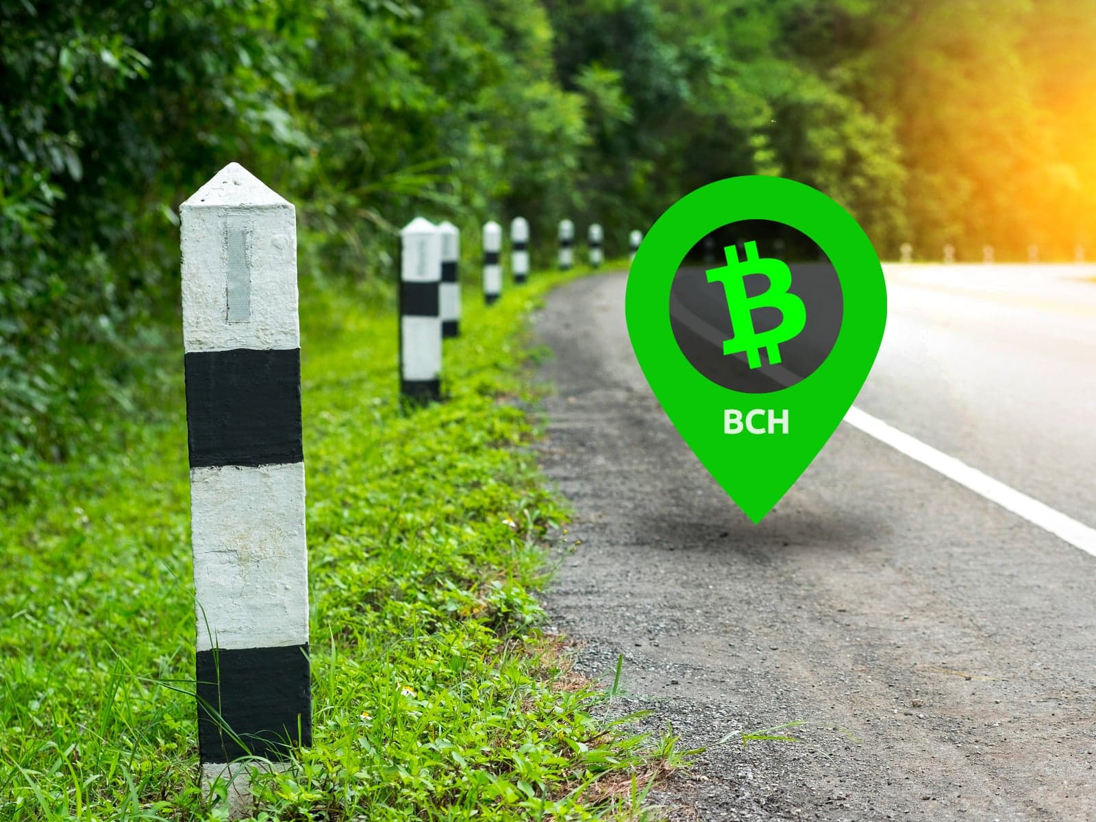 Bitcoin Cash Milestones and Liberland's Merit in the Weekly Video Update From Bitcoin.com