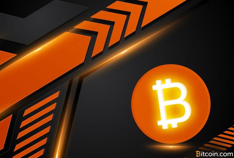 BCH Developer Builds Onchain Token Auction Console — SLP Agora