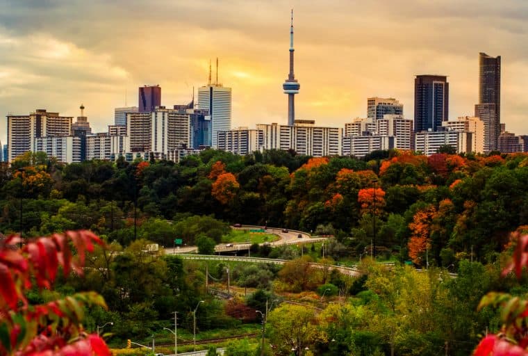 US City Plans SLP Token and Canadian Platform Adds BCH in the Bitcoin.com Weekly Video