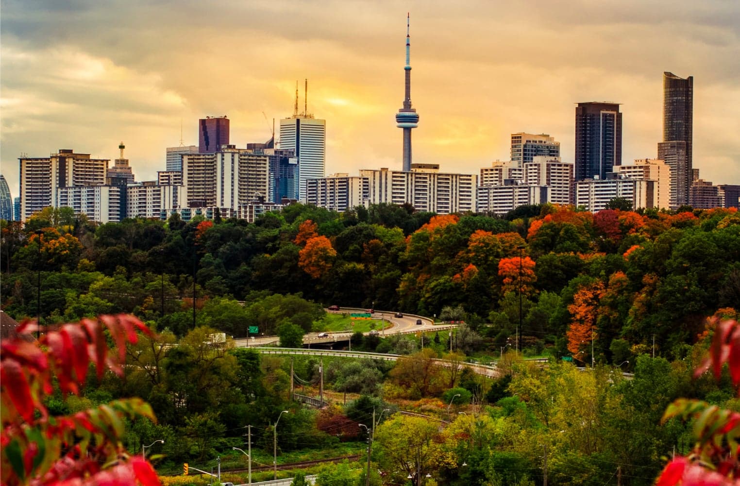 US City Plans SLP Token and Canadian Platform Adds BCH in the Bitcoin.com Weekly Video