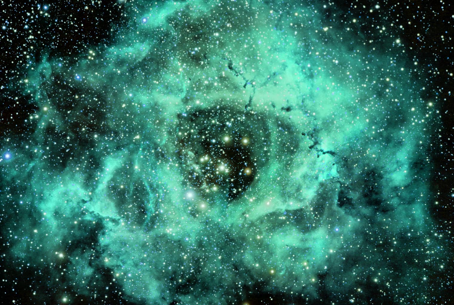 Exploring the SLP Token Universe Built on the Bitcoin Cash Chain