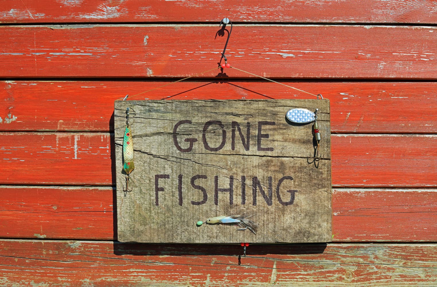 Reddit Roasts the IRS: Have America's Tax Collectors 'Gone Crypto Fishing'?