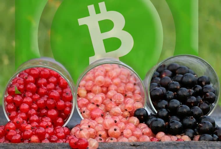 Tokens Built on Bitcoin Cash Are Cheaper to Send Than Those of Rival Networks