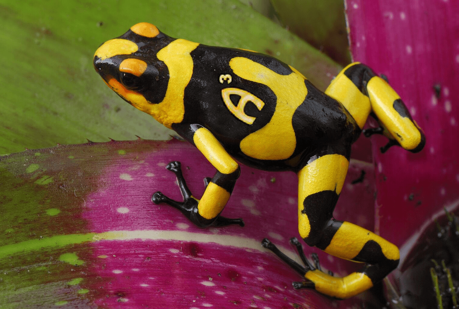 Bitcoin Is a Viable Way to Remove the State From Your Life