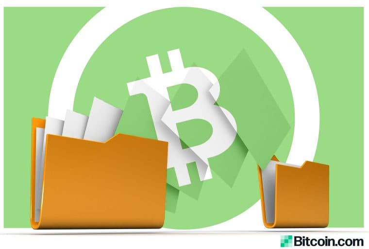 Bitcoin Cash-Powered File Storage Concept Sparks Interest and Debate