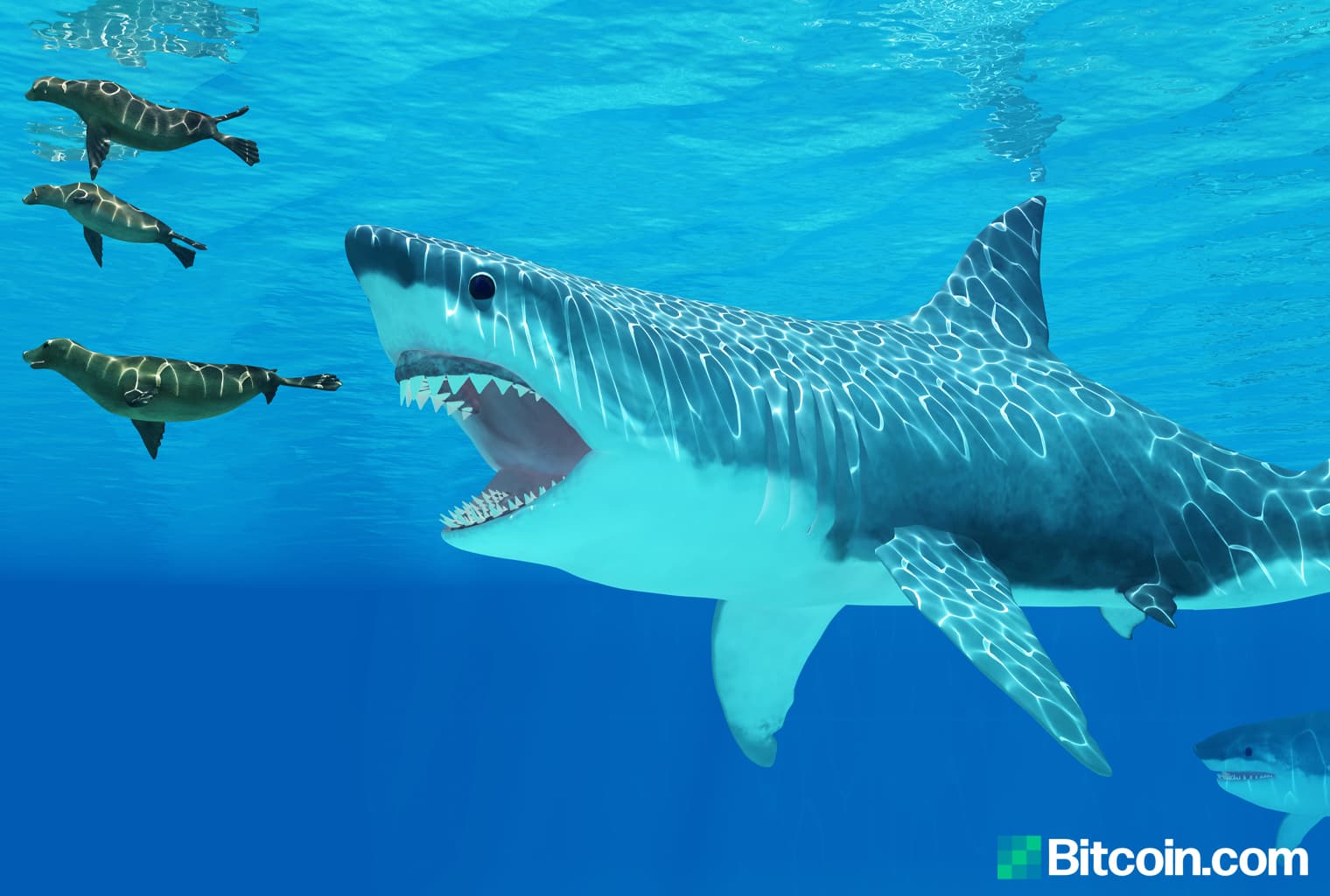 Market Outlook: Traders Play New Positions After Massive Drop in Crypto Prices