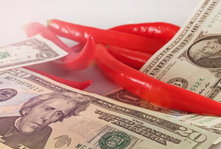 Cryptophyl Exchange Reveals Fiat On-Ramp to SLP Token Ecosystem