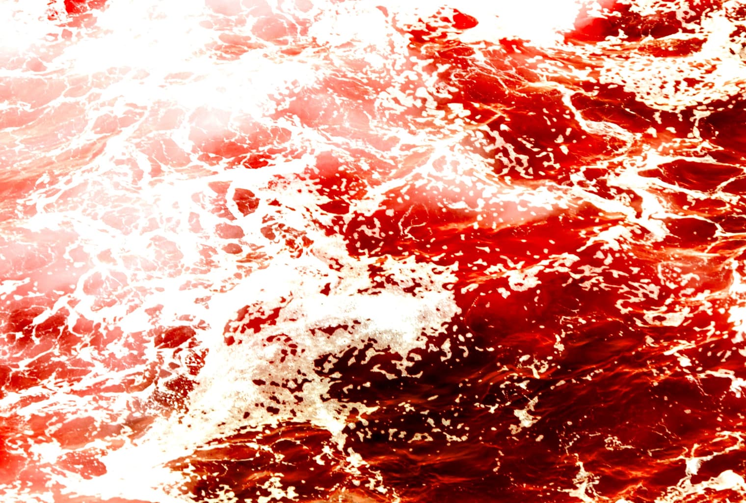 Market Update: Cryptos Shed Billions in Rapid Sell-Off