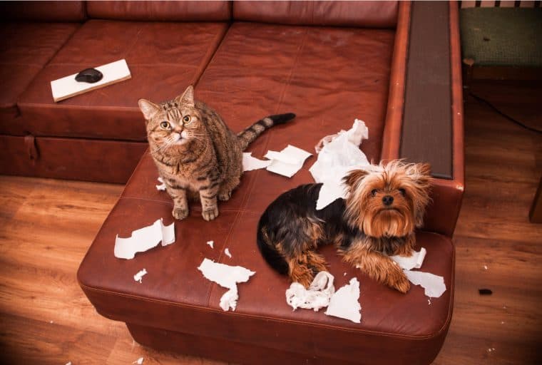 This Week in Bitcoin: $8 Billion BTC Trust and Maximalists Misbehaving